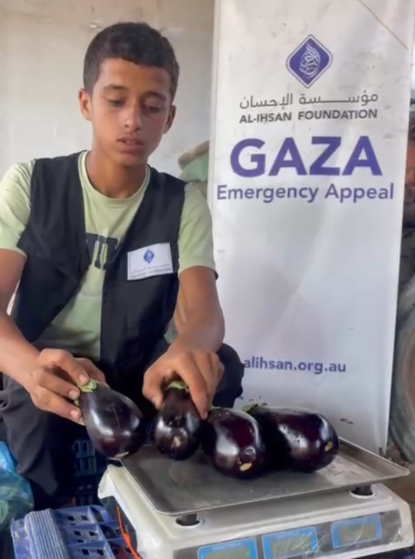 Gaza's Agricultural Collapse | How Farmland Destruction Led to Forced Famine