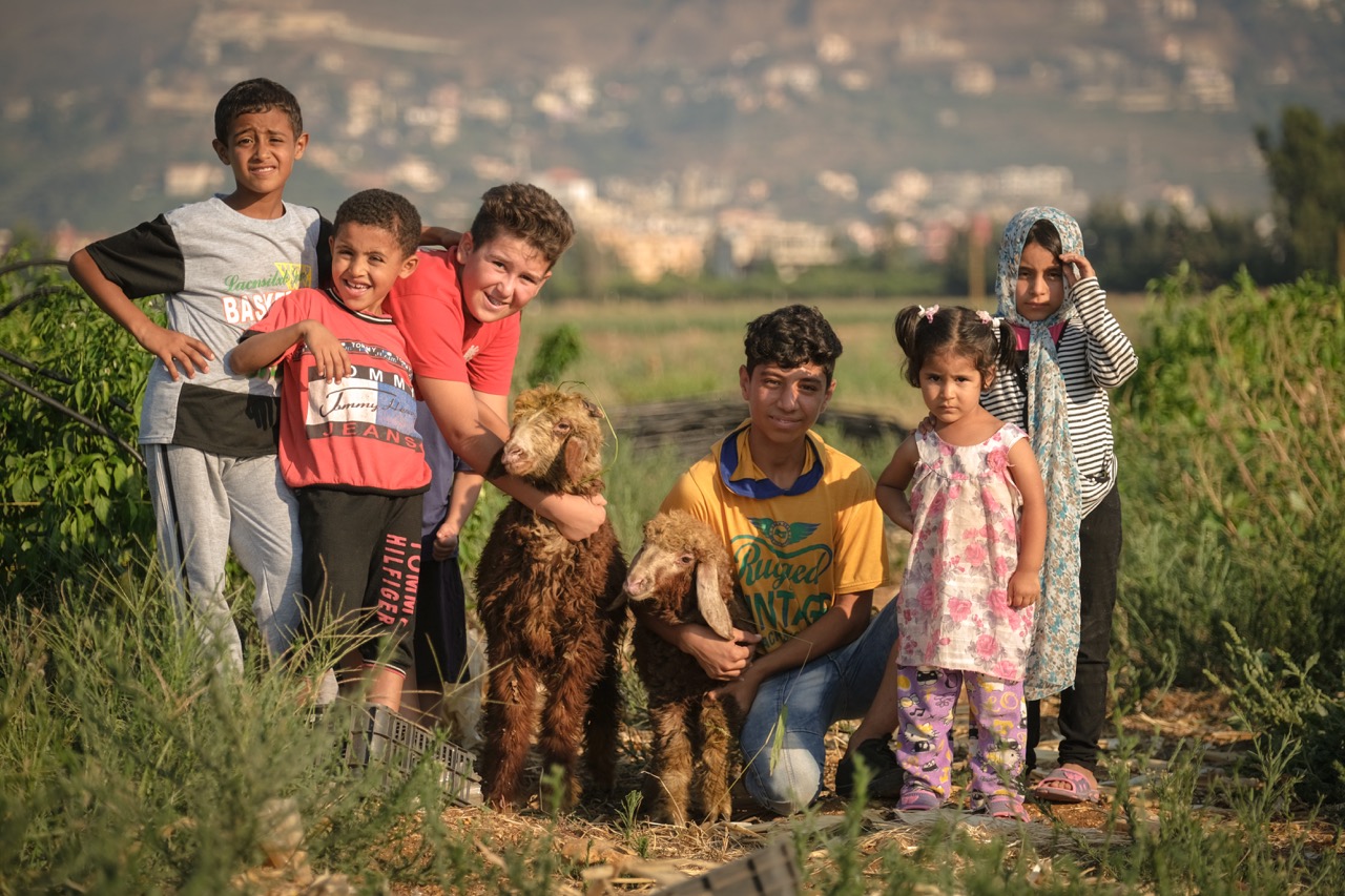 The Complete Guide to Qurban | Everything You Need to Know